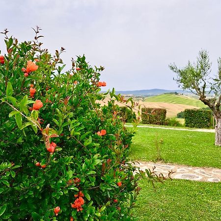 Agriturismo Caliano Asciano Exterior foto