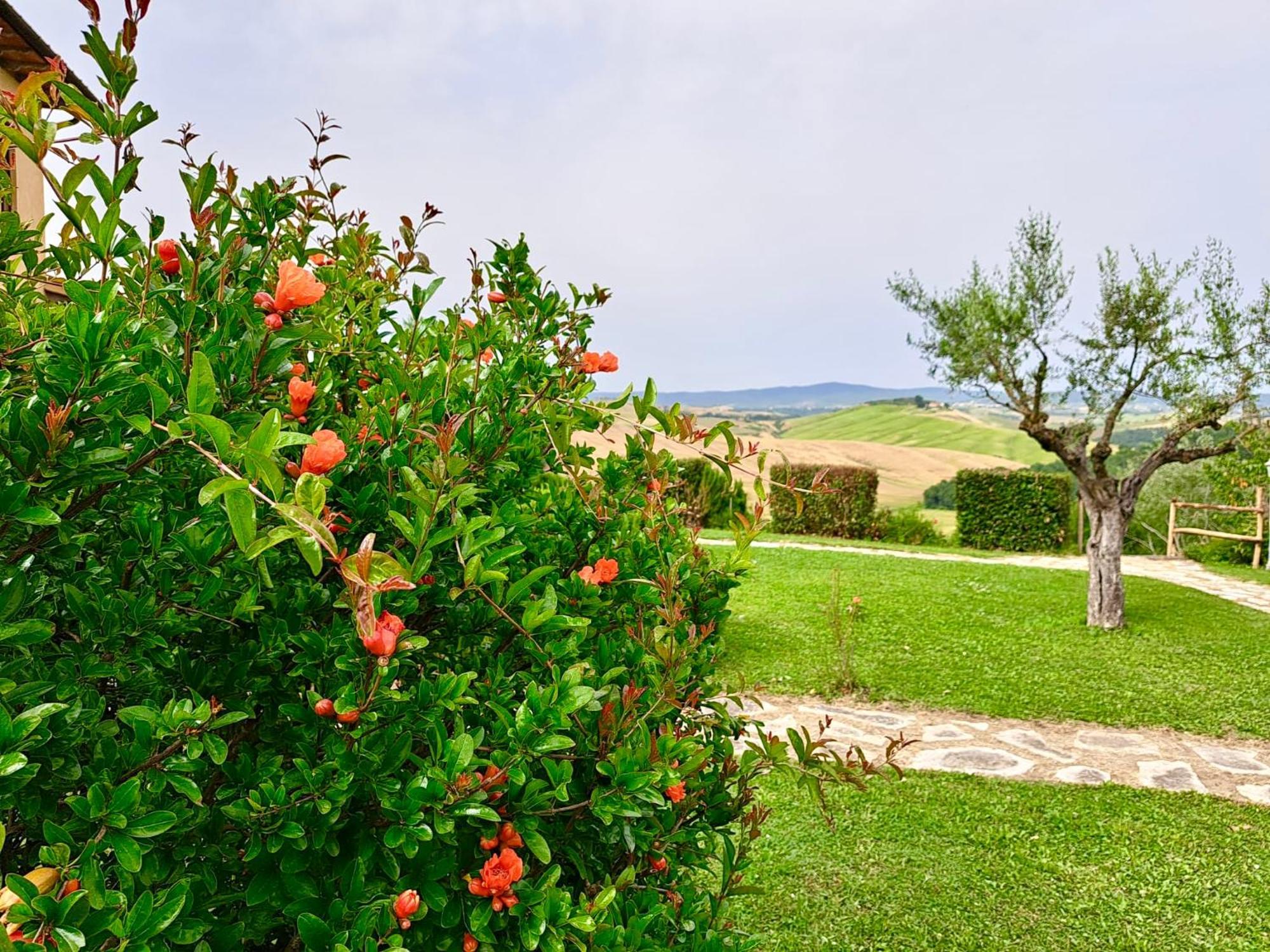Agriturismo Caliano Asciano Exterior foto