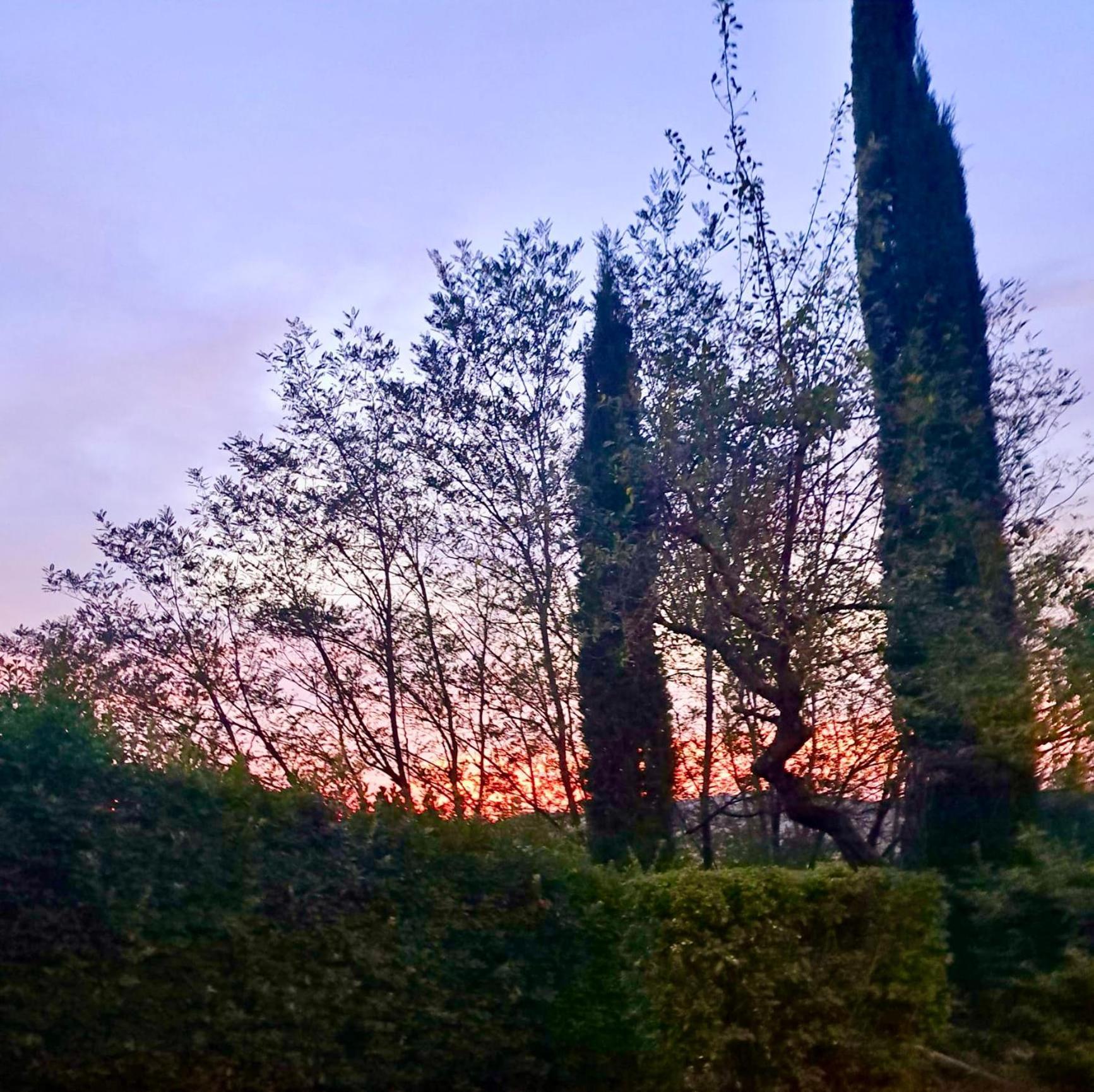 Agriturismo Caliano Asciano Exterior foto