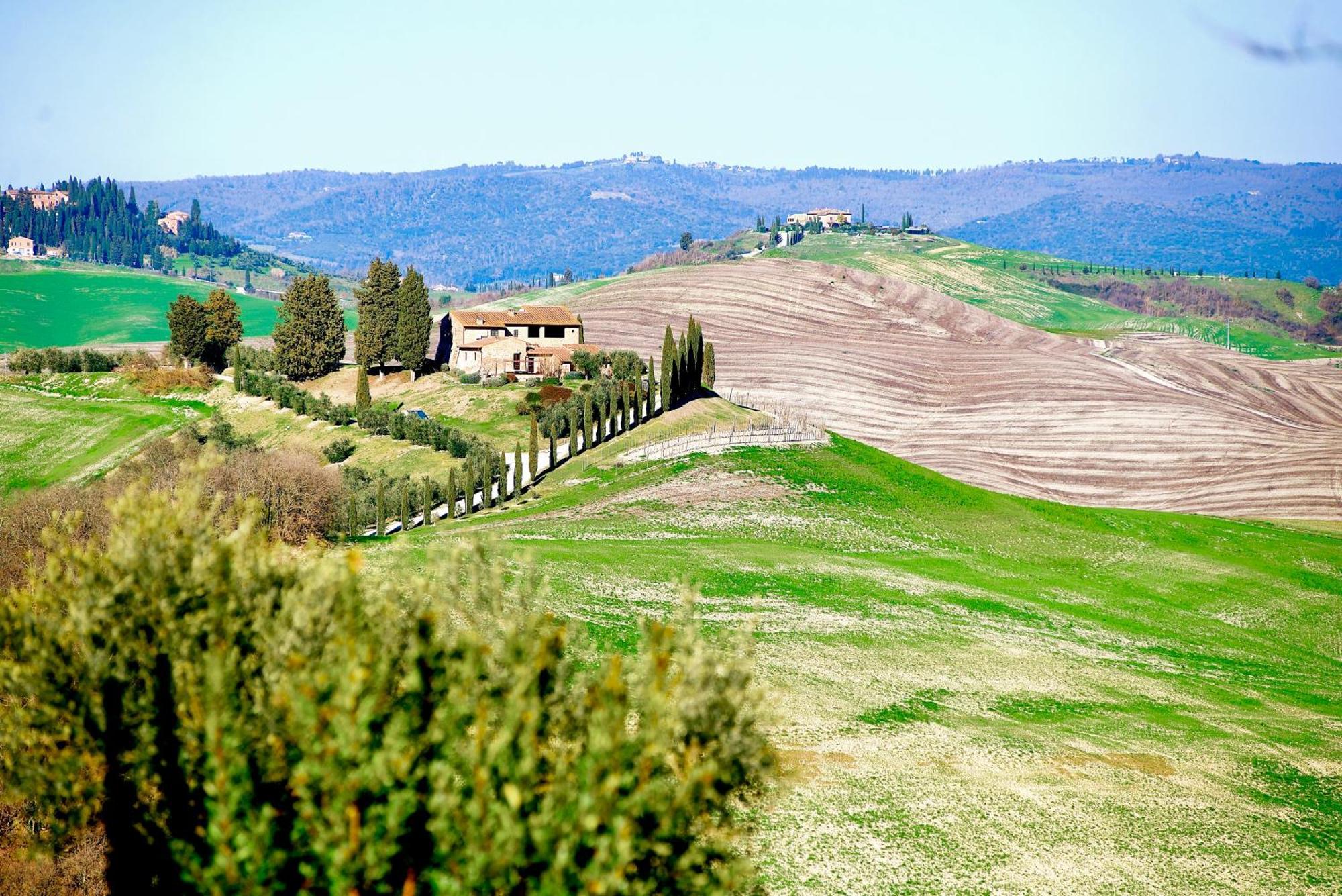 Agriturismo Caliano Asciano Exterior foto